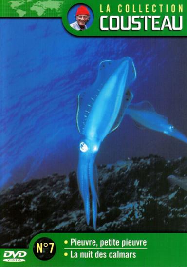La collection Cousteau N°7 | Pieuvre, petite pieuvre | La nuit des calmars