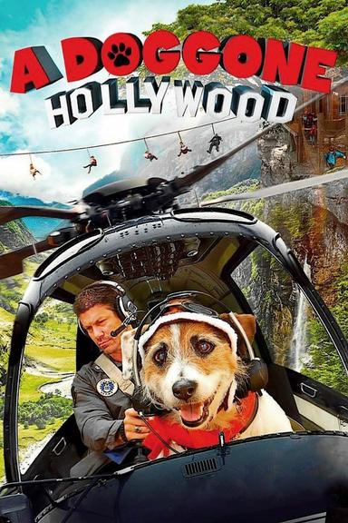 A Doggone Hollywood