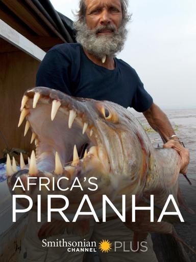 Africa's Piranha