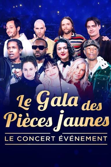 Le gala des pièces jaunes : Le concert événement