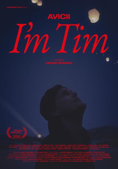 Avicii - I'm Tim