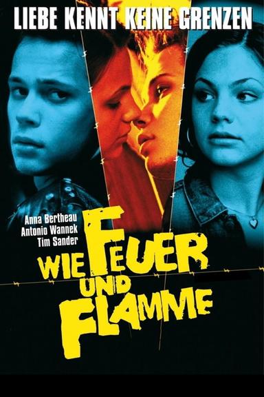 Wie Feuer und Flamme