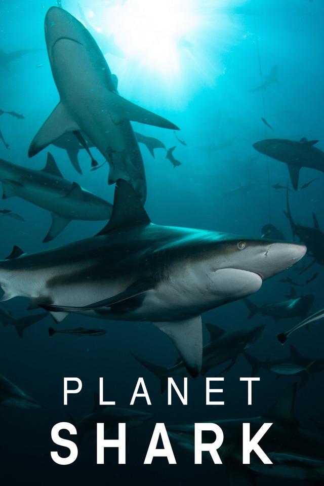 Planet Shark