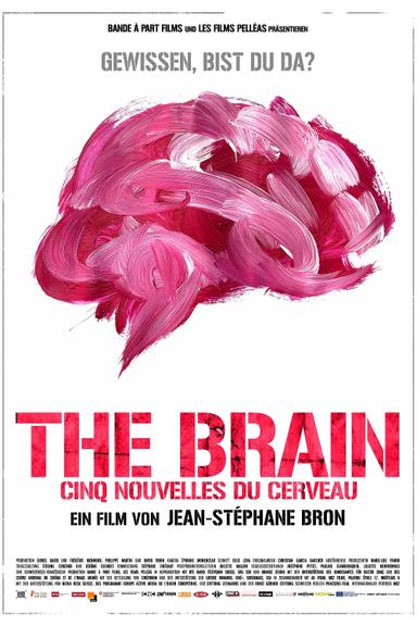 The Brain